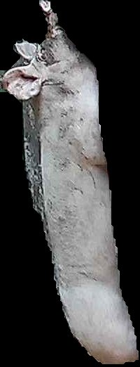 Crop