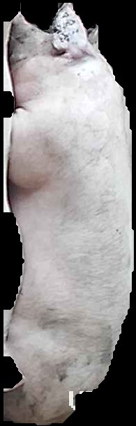 Crop