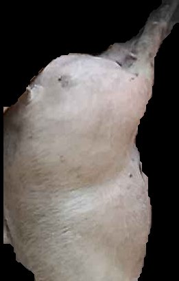 Crop