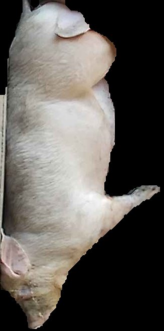 Crop