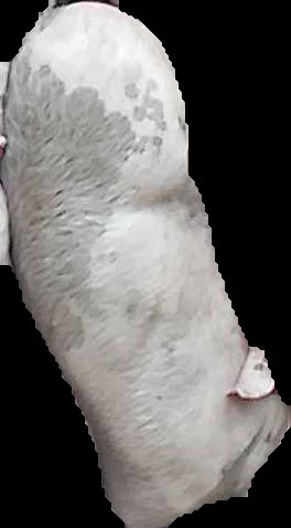 Crop
