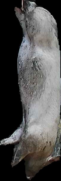 Crop