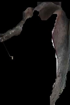 Crop