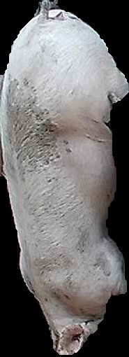 Crop