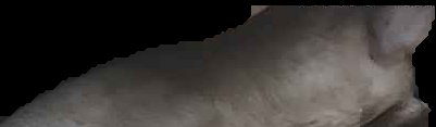 Crop