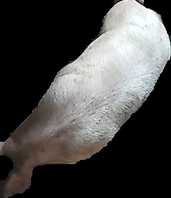 Crop