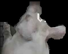 Crop