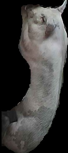 Crop
