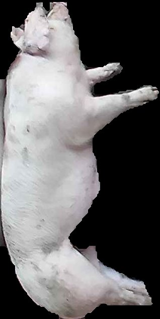 Crop