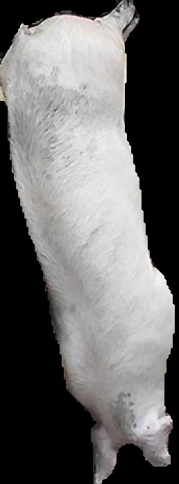 Crop