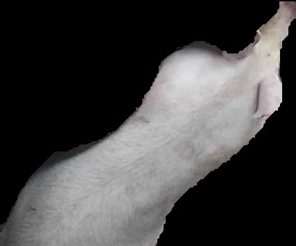 Crop