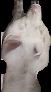 Crop