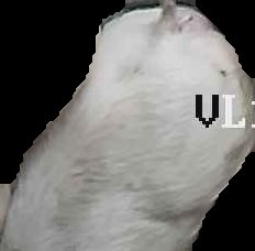 Crop