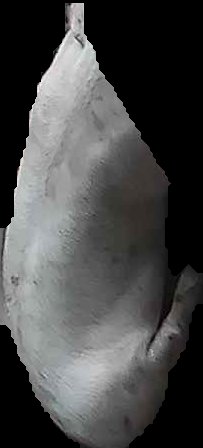 Crop