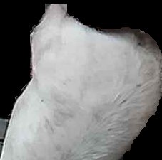 Crop