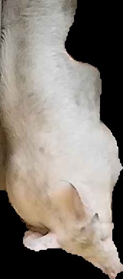 Crop