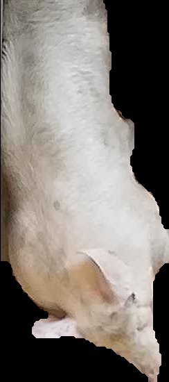 Crop