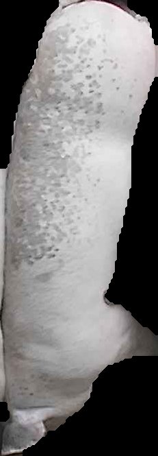 Crop
