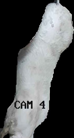 Crop