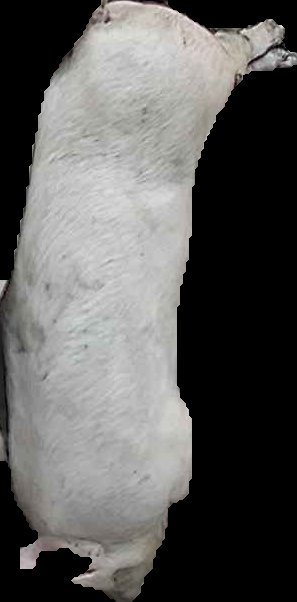 Crop