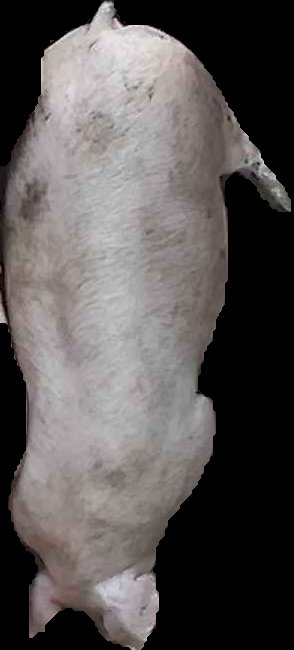 Crop