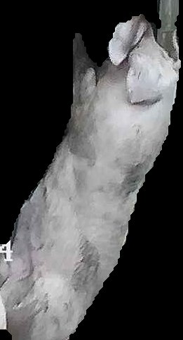 Crop
