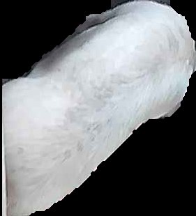 Crop