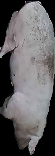 Crop