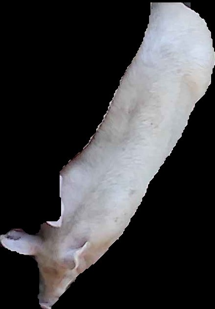 Crop