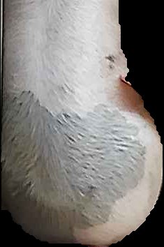 Crop