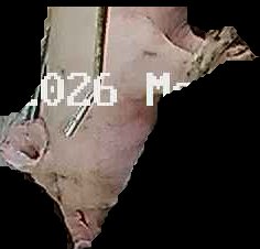 Crop