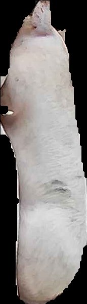 Crop