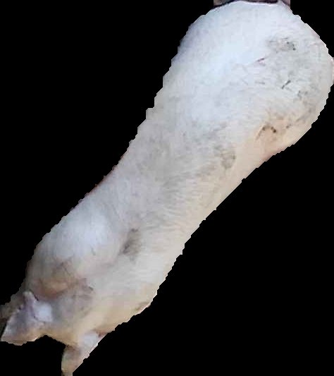 Crop