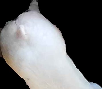 Crop