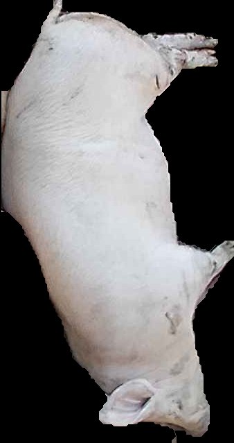 Crop