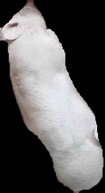 Crop
