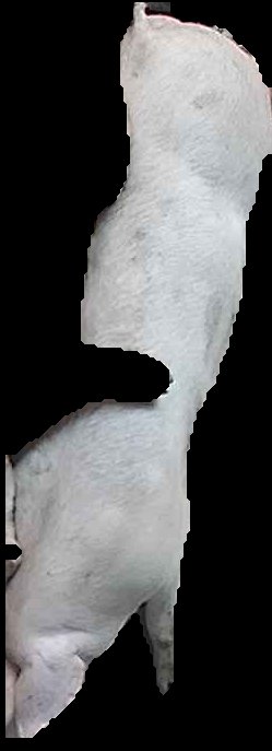 Crop