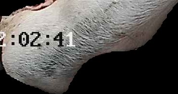 Crop