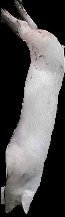 Crop