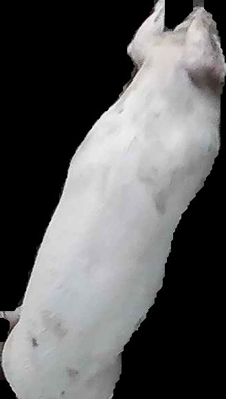 Crop
