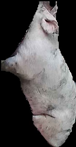 Crop