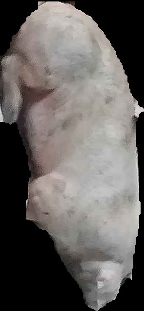 Crop