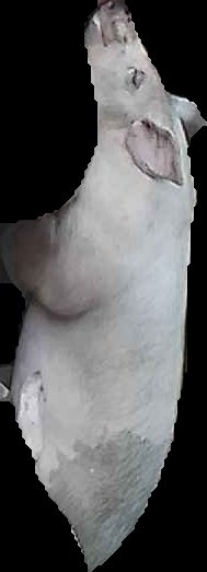 Crop