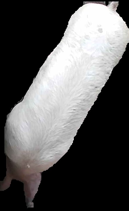 Crop