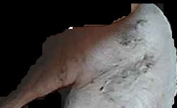Crop
