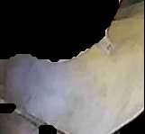 Crop