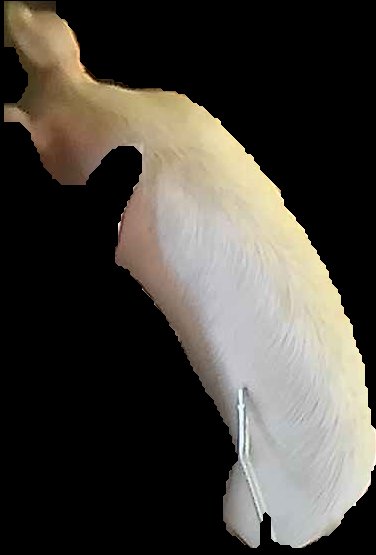 Crop