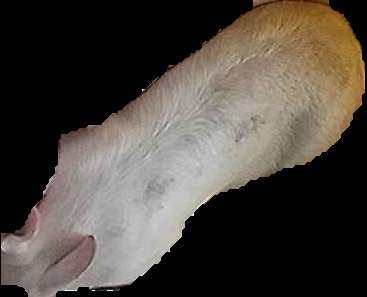 Crop