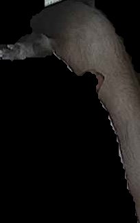 Crop