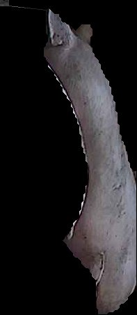 Crop